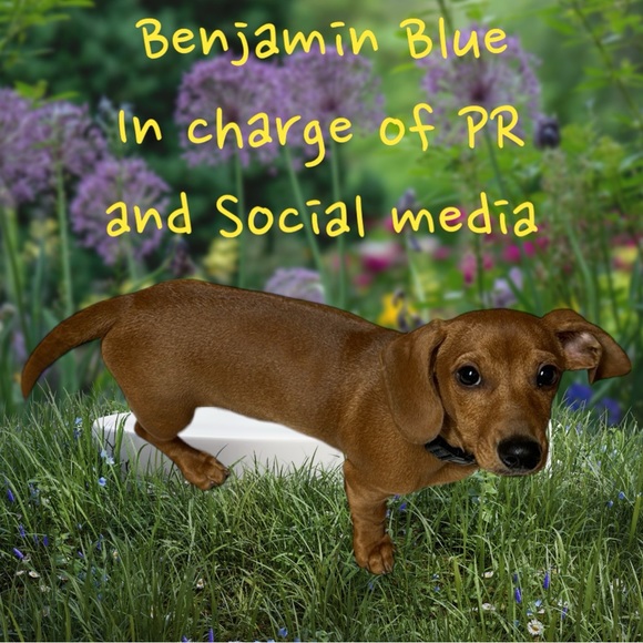 Coffee And Dreams Thrifting - Picture 7 of 13